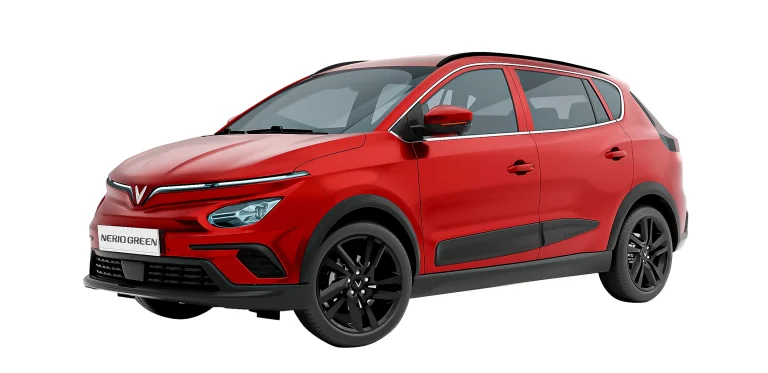 nerio-img-10-768x373 (1)